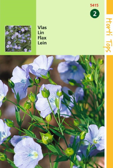 Perennial flax (Linum perenne) 650 seeds HT